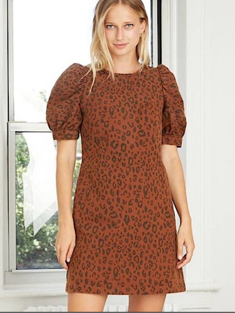 Universal Thread Brown Leopard-Print Puff Sleeve Mini Dress